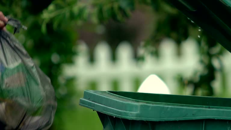 Best Moving and Downsizing Cleanouts  in Avon, MN